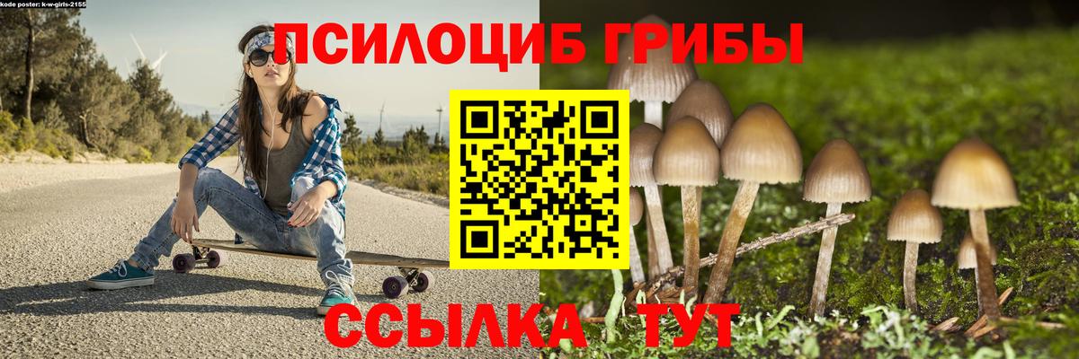 Галлюциногенные грибы мицелий Астрахань