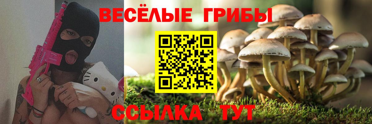 Псилоцибиновые грибы Magic Shrooms  Псилоцибиновые грибы GOLDEN TEACHER  цена   Астрахань  Вход с VPN 